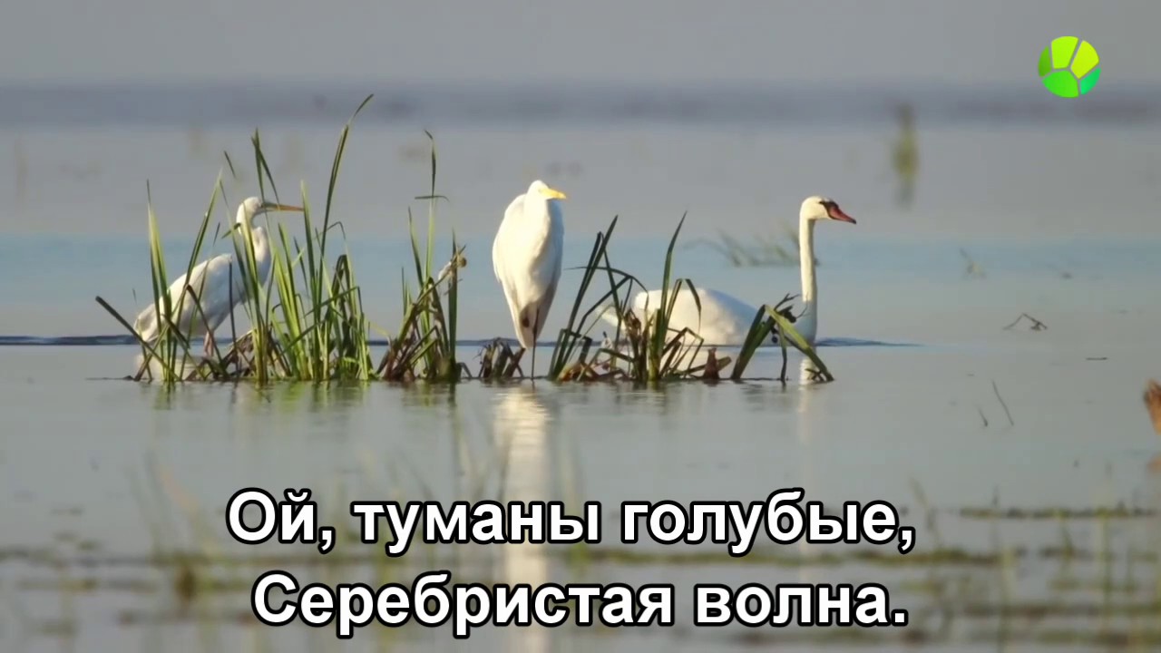 Волга реченька глубока ноты