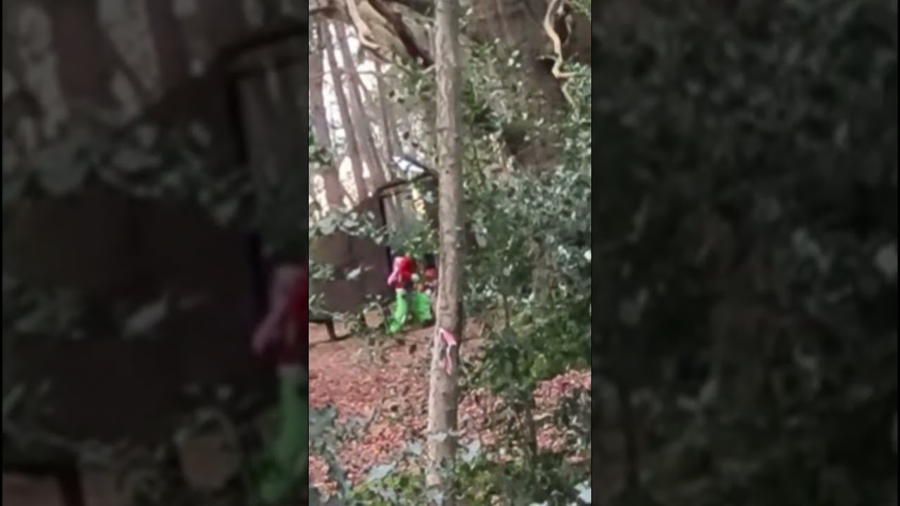 When you gotta save Christmas 