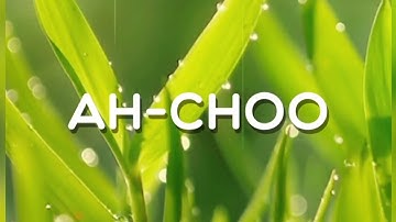 Ah-choo, Level 153, Word Crush Answers.