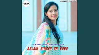 Aslam Singer Sr 6080