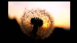 Download Lagu Ramelia (cover) Weronika MP3