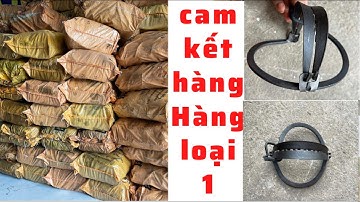 Báo giá mới nhất 1000 bao bẫy cạm kiềng 14cm và 16 cm .☎️0392029881