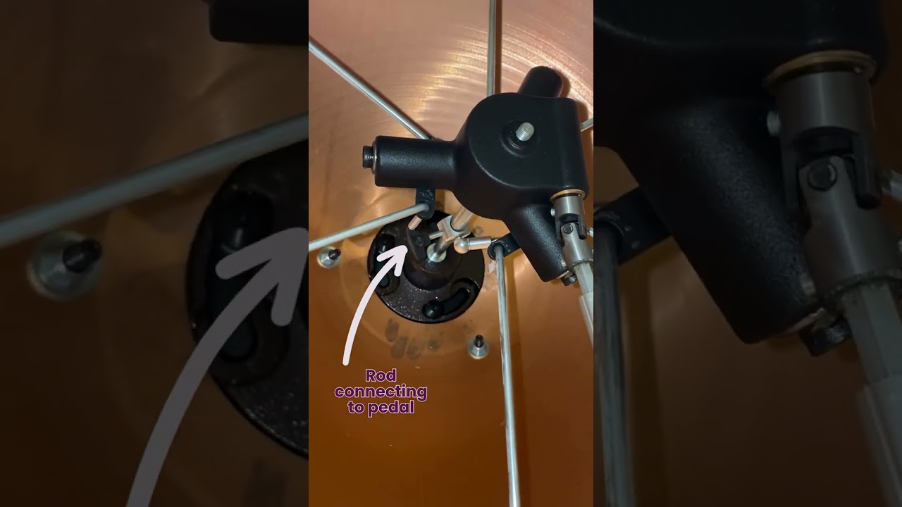 Take a look inside an Adams Revolution Timpano