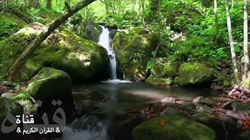 ٧٢= سورة الجن /الشيخ عبدالباسط عبد الصمد/ خشوع/ وتجويد رائع/