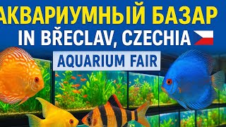 : AKVA-BAZAR Breclav     # #aquariumhobby #planetaquarium