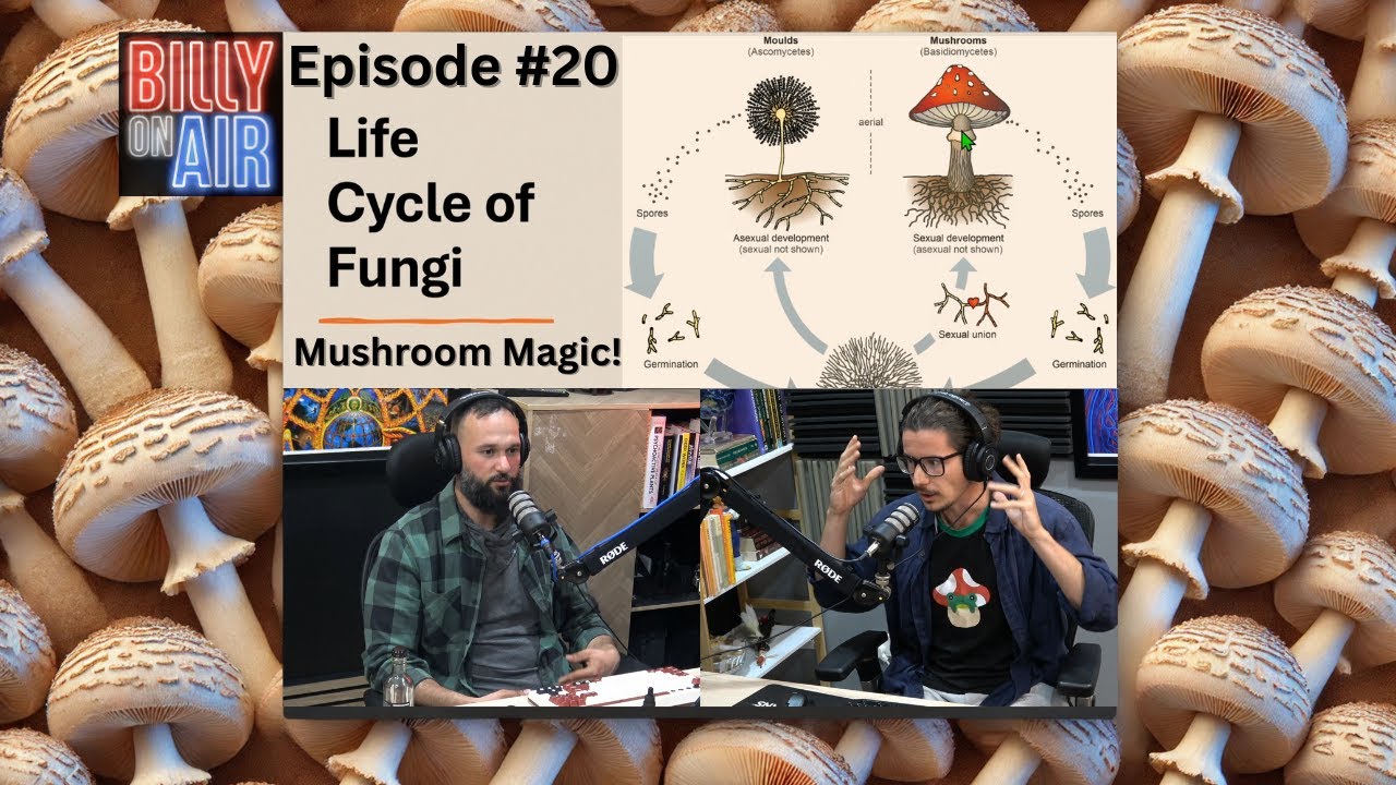 Mushroom Magic Revealed by Top Myco Engineer | Episode #20 - YouTube