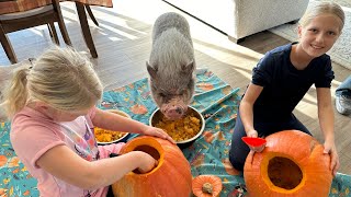 Hamlet the Mini Pig: Pumpkin Carving 2023