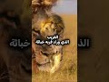 ما كرهت في حياتي سوى أربعة أقوال وحكم خواطر كلام من الواقع غدر 