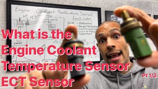 What is an engine coolant temperature sensor ECT / engine temp sensor and what does it do? Explained
