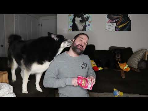 BarkBox January 2024