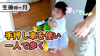 【生後268日目】手押し車を使って歩く【0歳8ヶ月】