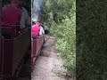 Skunk Train puffing up the grade!