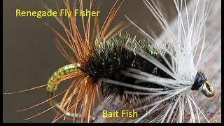 Bait Fish Fly Pattern