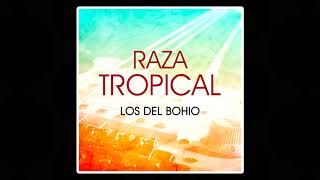 Video thumbnail of "Los Del Bohio - El Ritmo De La Sierra"