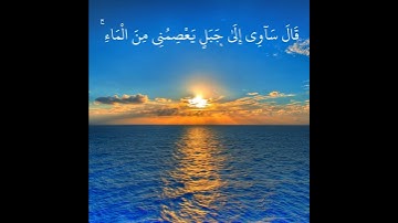 تلاوة خاشعة بصوت اسلام صبحي | وَهِيَ تَجْرِي بِهِمْ فِي مَوْجٍ كَالْجِبَالِ وَنَادَىٰ نُوحٌ ابْنَهُ