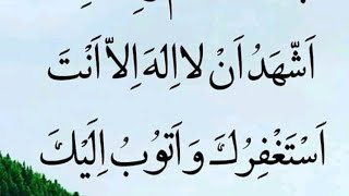 الشيخ محمد الشرنوبي/مع الشيخ عبد الرحمن في ساحه السيده زينب ام العواجز ام اليتامى