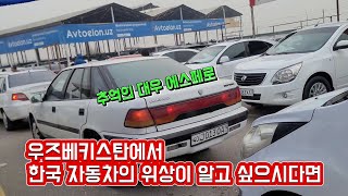 (국제부부) 한국 차 가격 뭔데 뭔데!