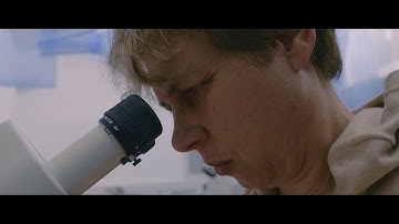 Behind the Scenes at Weizmann Institute  - A Peek Into a Core Facility