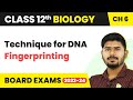 Technique for DNA Fingerprinting - Molecular Basis of Inheritance | Class 12 Biology