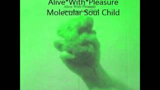 Molecular Soul Child