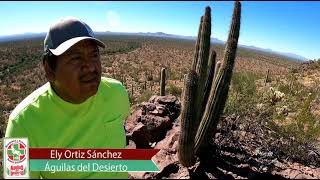 Localizan restos de 6 migrantes en el Desierto de Arizona