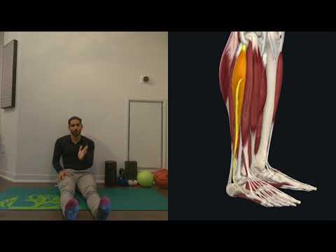Exploring Ankle Motion  Evervsion AROM ankle EVER
