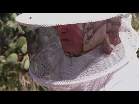 Jawaher by Samar Lulu, Sojood Shheber and Woroud Alqassas