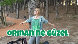 Orman Ne Güzel