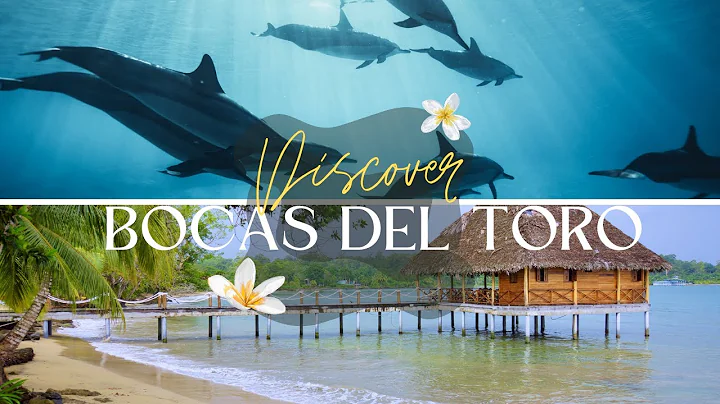 Discover Bocas del Toro, Panama : A Tropical Paradise of Wonders