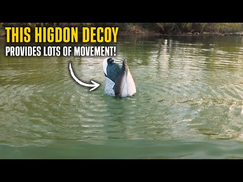 The Higdon Ringer Decoy Makes TONS of Ripples in your Spread!