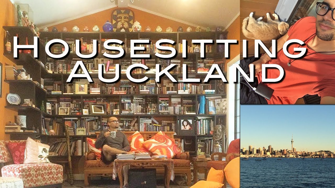 The BEST Housesitting & Work Experience in Auckland 🌃| Working Holiday New Zealand 🇳🇿