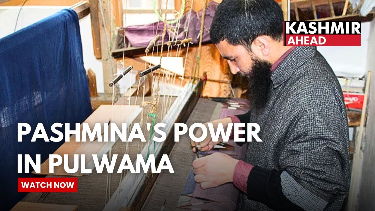 Weaving Income Traditional Pashmina Weaving Providing Employment & Income for Pulwama ...