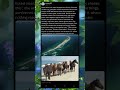 🐎 The Island Where Horses Rule Everything 🌊😳 #Horses #IslandLife #viral