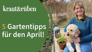 Gartenkalender: 5 Tipps für den April