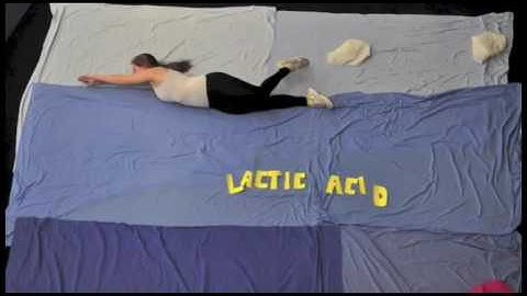 PDHPE HSC - Energy Systems introduction