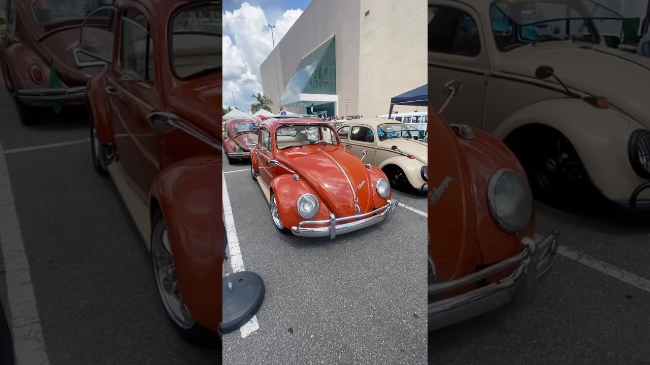 Dia nacional do fusca !! 