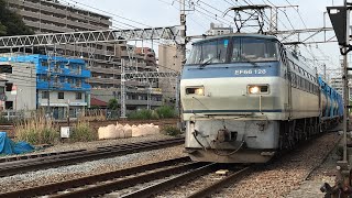 JR貨物EF66 128電気機関車と上野東京ライン高崎線直通普通高崎行きE231系1890ES-04横コツ+E233系E-15横コツ、JR貨物EH200-12「Blue Thunder」電気機関車！
