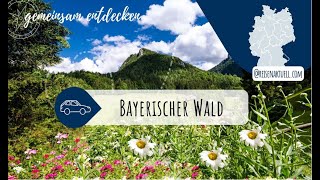 Faszination Bayerischer Wald 🌲⛰️ – Warum Urlaub hier so beliebt ist