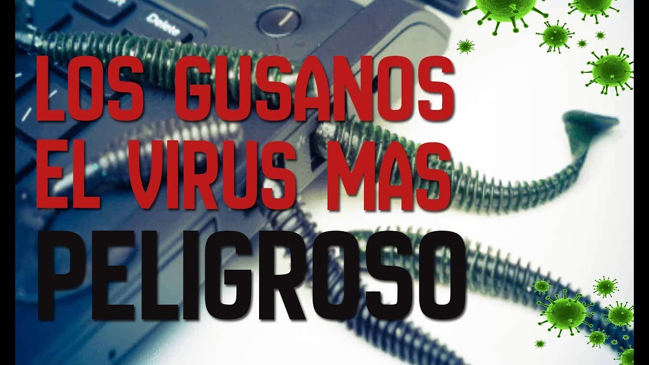 Gusanos informáticos - Los virus mas Peligrosos que pueden DESTRUIR TU PC ☠💣
