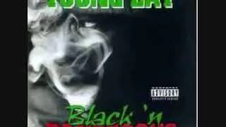 Young Lay feat. 2Pac - Gotta Survive