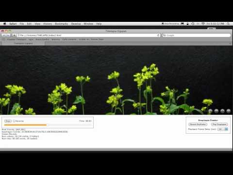 Timelapse GigaPan Brassica 1 of 3