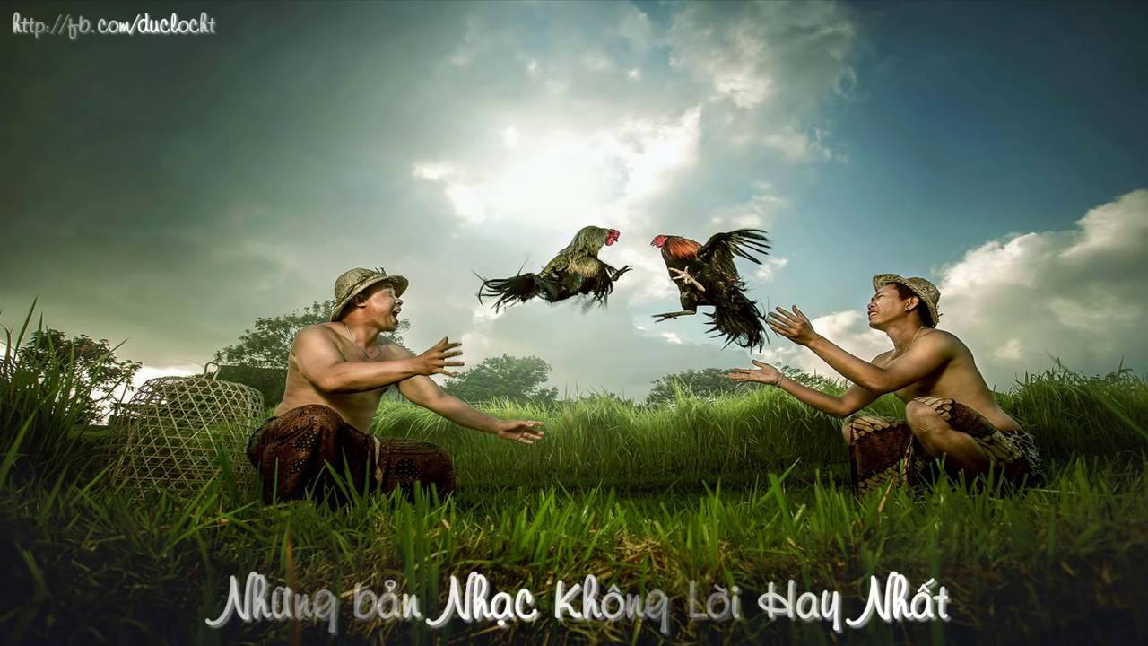 Nhạc không lời trữ tình miền Tây Việt Nam: Âm nhạc là một trong những nét đẹp đặc trưng của miền Tây Việt Nam. Bài hát không lời trữ tình được lấy cảm hứng từ những câu chuyện tình yêu, vùng quê và con người miền sông nước. Hãy lắng nghe và thưởng thức những giai điệu tuyệt vời đến từ miền Tây Việt Nam qua những hình ảnh đầy cảm xúc.