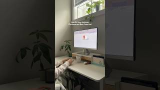 Download Lagu i don’t even know what day it is anymore MP3