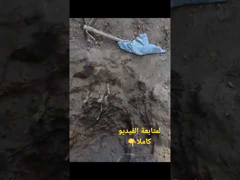 عن حقائق تحويل الكنوز من فيديو سابق