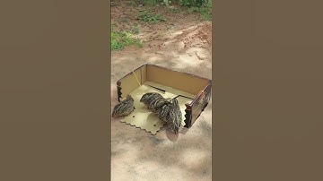 Amazing quick creative quail trap DIY #youtubeshorts #youtube