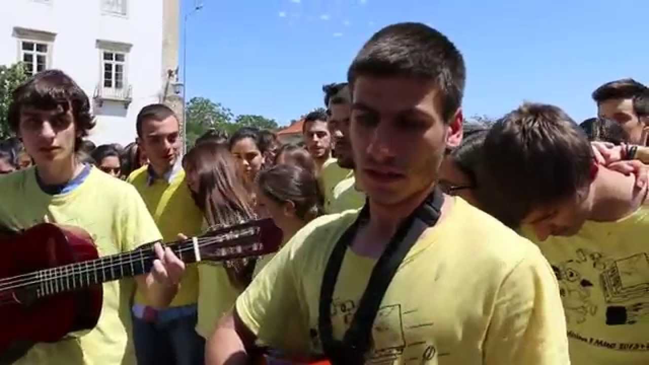 Despedida Caloiros de Medicina 2013+1/2015 - 