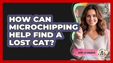 How Can Microchipping Help Find A Lost Cat? - Happy Cat Handbook