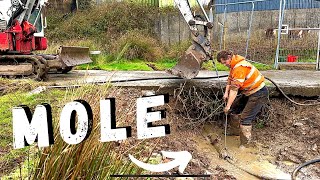 Let’s finally clear this water and mole under the concrete to install the pipe!