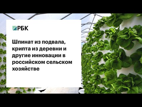 Инновации в растениеводстве гидропоника украина как делают траву спайс курительную