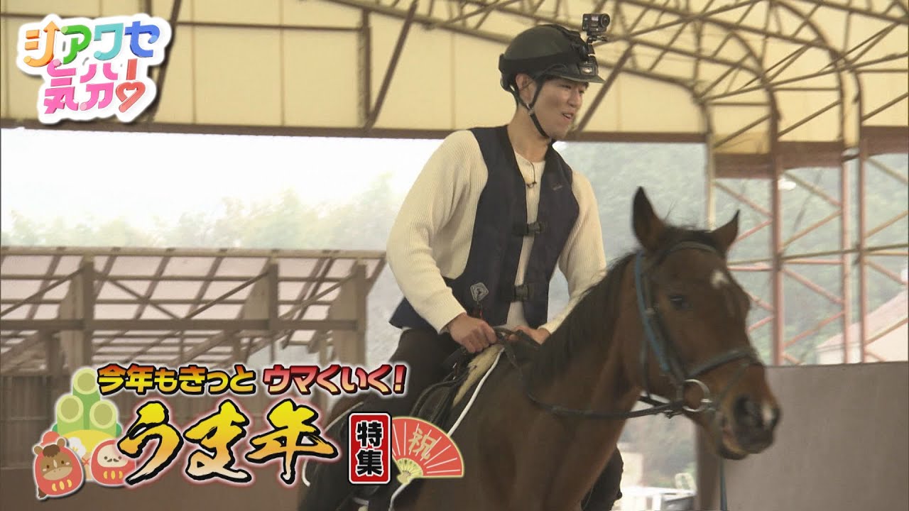 【シアワセ気分！】今年もきっとウマくいく！うま年特集　2026/01/10放送